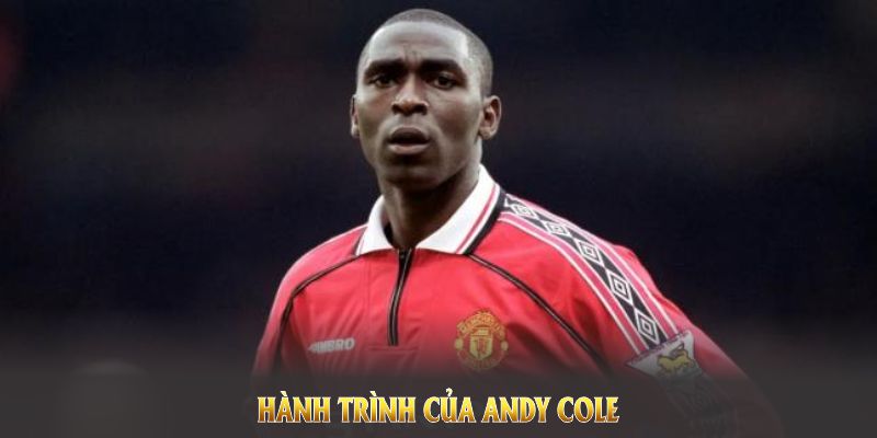 Các thành tích nổi bật của Andy Cole trong sự nghiệp của mình