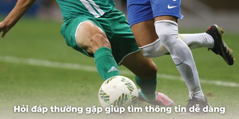 Hỏi đáp thường gặp của trang giúp người dùng tìm kiếm thông tin dễ dàng